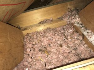 damaged attic insulation Atlanta